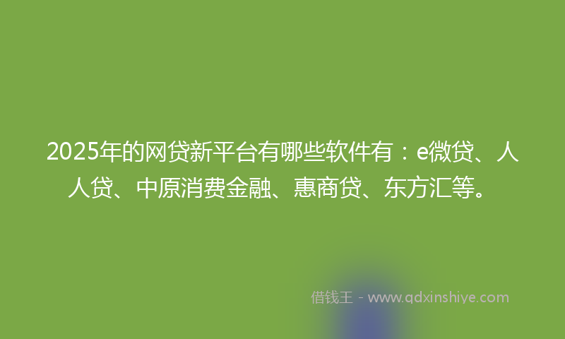 2025年的网贷新平台有哪些软件有：e微贷、人人贷、中原消费金融、惠商贷、东方汇等。