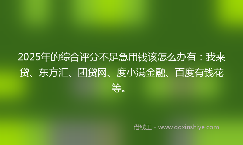 2025年的综合评分不足急用钱该怎么办有：我来贷、东方汇、团贷网、度小满金融、百度有钱花等。