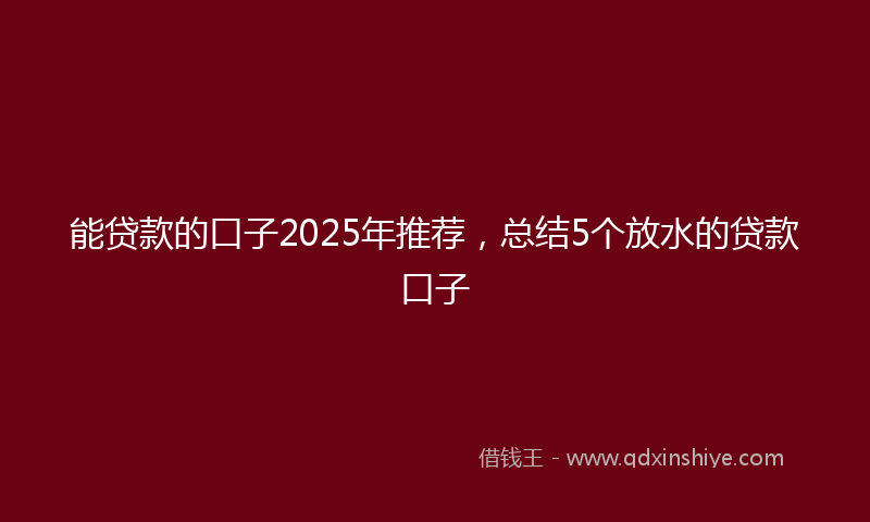 能贷款的口子2025年推荐，总结5个放水的贷款口子