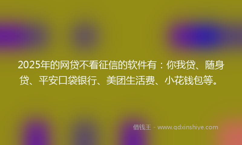 2025年的网贷不看征信的软件有：你我贷、随身贷、平安口袋银行、美团生活费、小花钱包等。