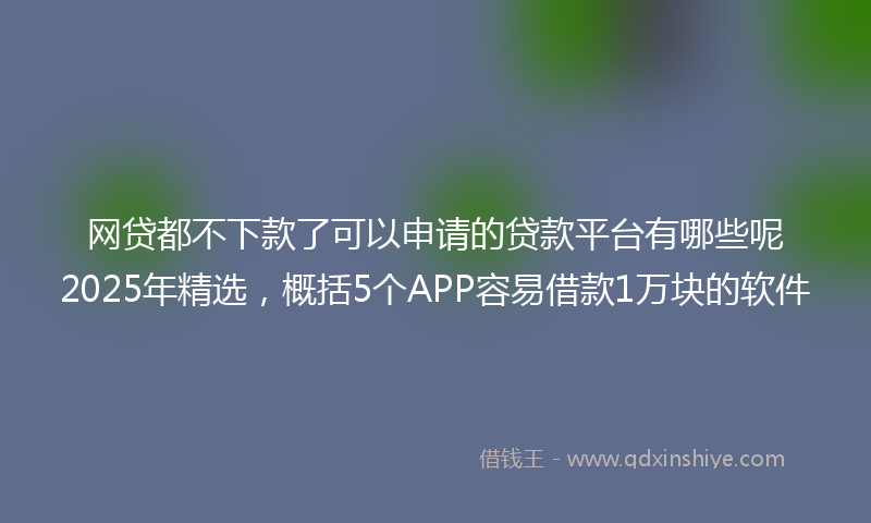 网贷都不下款了可以申请的贷款平台有哪些呢2025年精选，概括5个APP容易借款1万块的软件