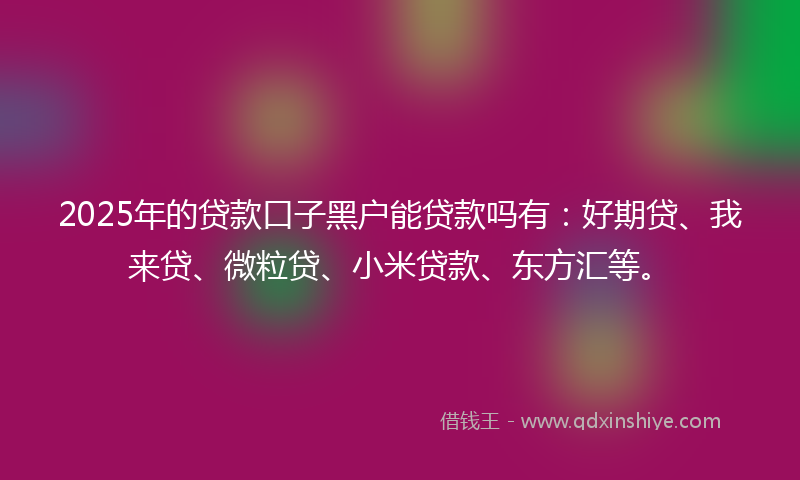 2025年的贷款口子黑户能贷款吗有：好期贷、我来贷、微粒贷、小米贷款、东方汇等。