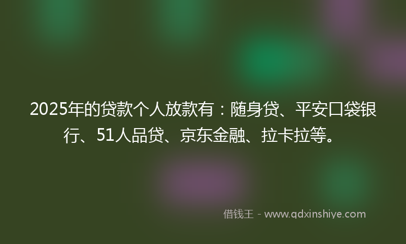 2025年的贷款个人放款有：随身贷、平安口袋银行、51人品贷、京东金融、拉卡拉等。
