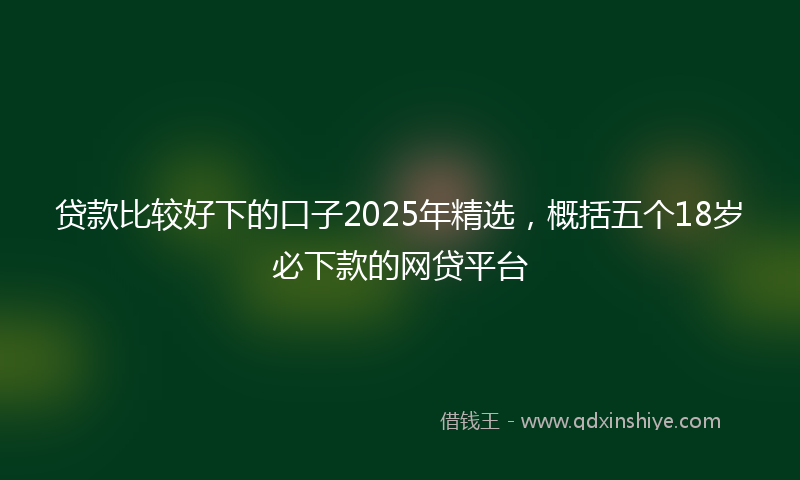 贷款比较好下的口子2025年精选，概括五个18岁必下款的网贷平台