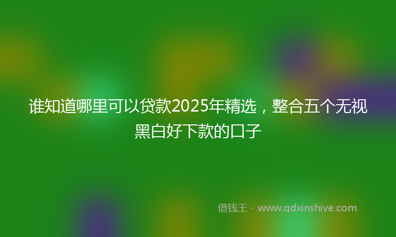 谁知道哪里可以贷款2025年精选，整合五个无视黑白好下款的口子