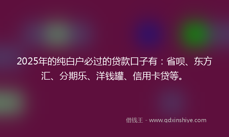 2025年的纯白户必过的贷款口子有：省呗、东方汇、分期乐、洋钱罐、信用卡贷等。