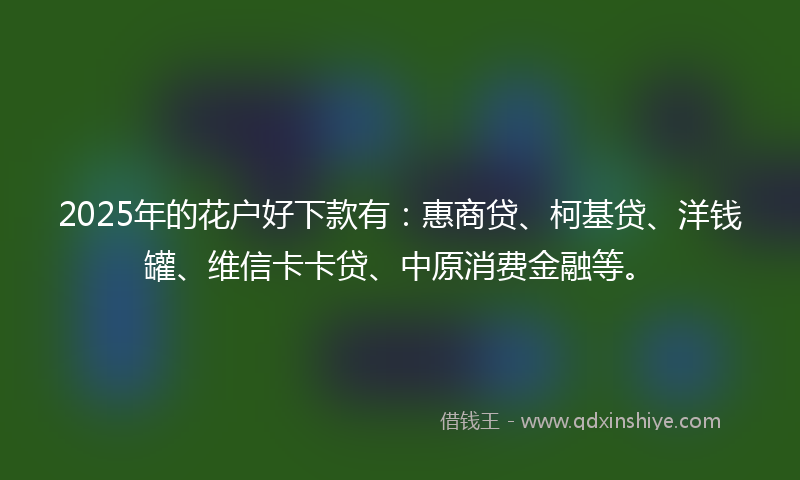 2025年的花户好下款有：惠商贷、柯基贷、洋钱罐、维信卡卡贷、中原消费金融等。