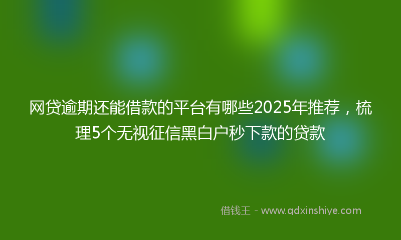 网贷逾期还能借款的平台有哪些2025年推荐，梳理5个无视征信黑白户秒下款的贷款