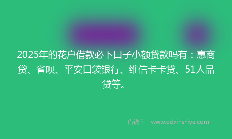 2025年的花户借款必下口子小额贷款吗有：惠商贷、省呗、平安口袋银行、维信卡卡贷、51人品贷等。