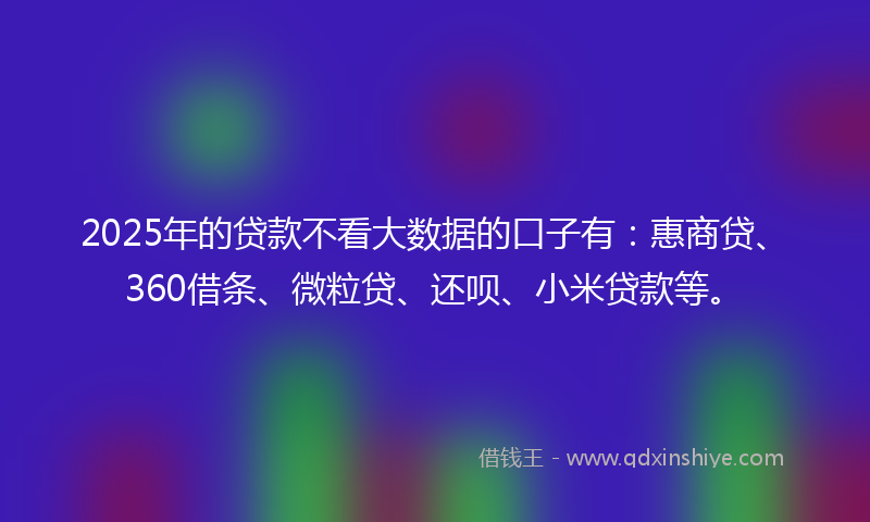 2025年的贷款不看大数据的口子有：惠商贷、360借条、微粒贷、还呗、小米贷款等。