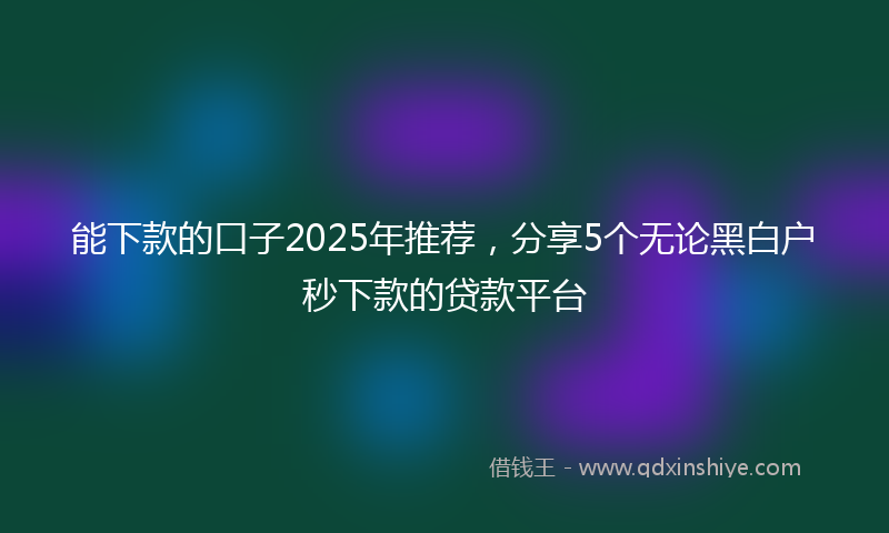 能下款的口子2025年推荐，分享5个无论黑白户秒下款的贷款平台