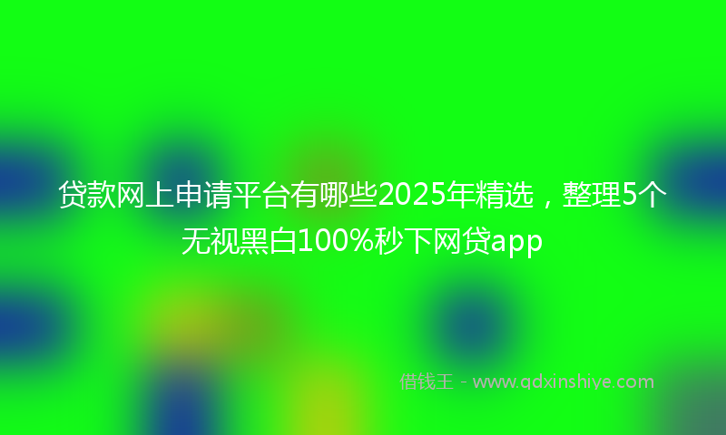 贷款网上申请平台有哪些2025年精选，整理5个无视黑白100%秒下网贷app