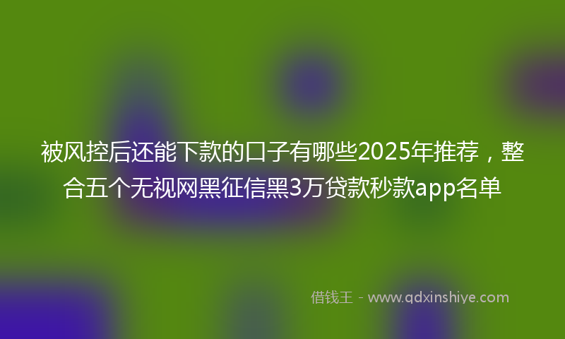 被风控后还能下款的口子有哪些2025年推荐，整合五个无视网黑征信黑3万贷款秒款app名单