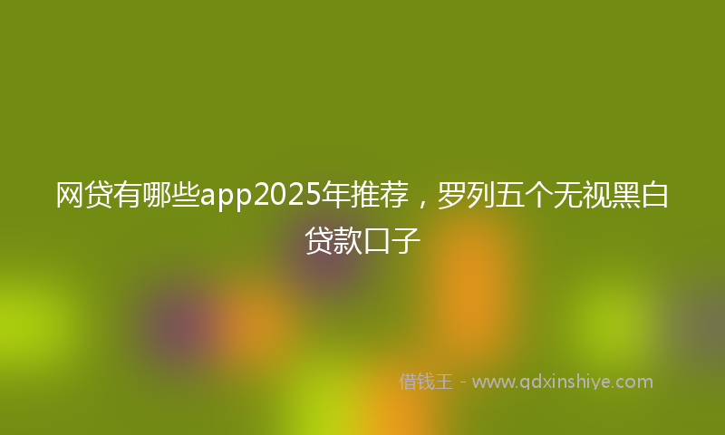 网贷有哪些app2025年推荐，罗列五个无视黑白贷款口子