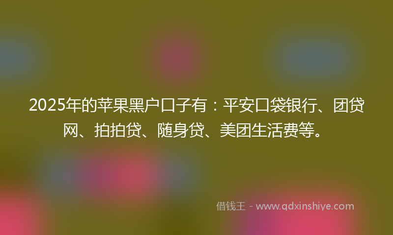 2025年的苹果黑户口子有：平安口袋银行、团贷网、拍拍贷、随身贷、美团生活费等。