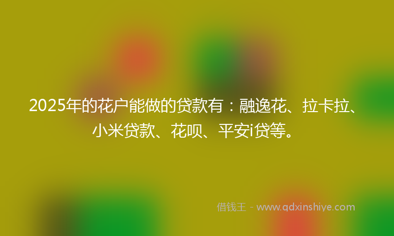 2025年的花户能做的贷款有：融逸花、拉卡拉、小米贷款、花呗、平安i贷等。