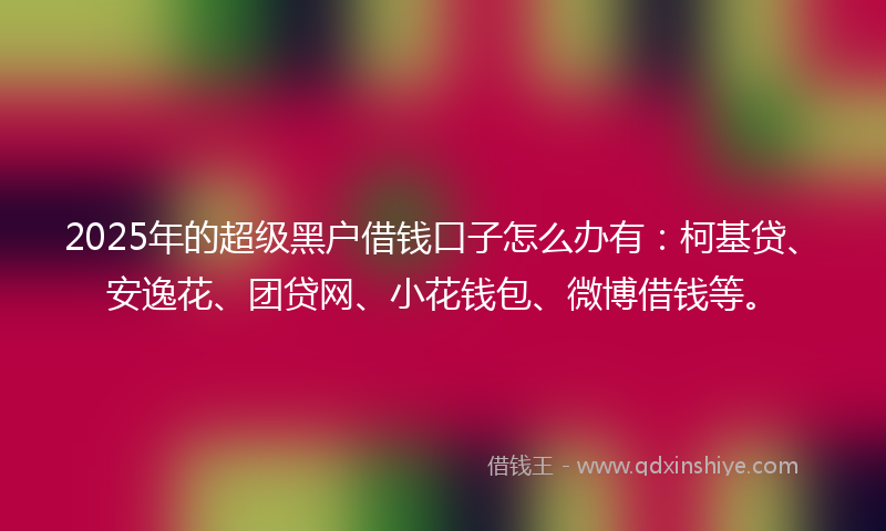 2025年的超级黑户借钱口子怎么办有：柯基贷、安逸花、团贷网、小花钱包、微博借钱等。