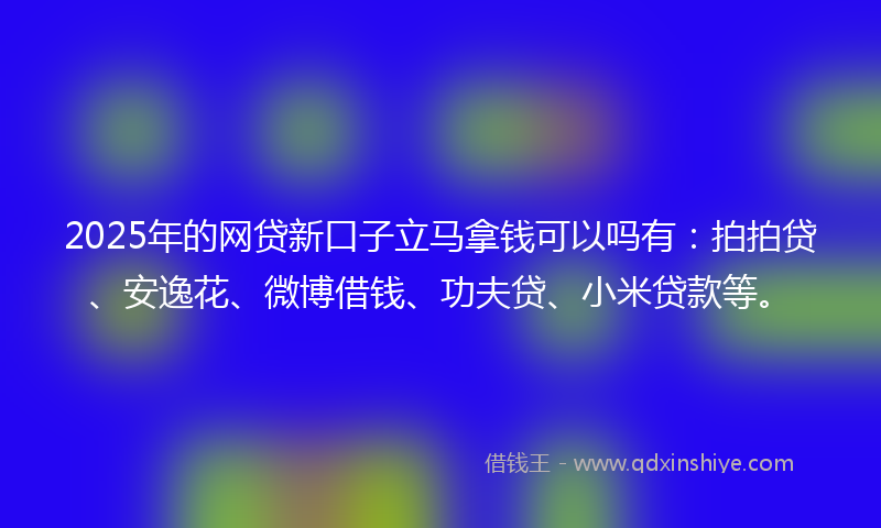 2025年的网贷新口子立马拿钱可以吗有：拍拍贷、安逸花、微博借钱、功夫贷、小米贷款等。