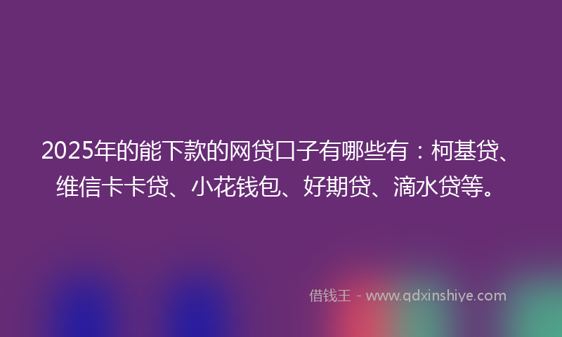 2025年的能下款的网贷口子有哪些有：柯基贷、维信卡卡贷、小花钱包、好期贷、滴水贷等。