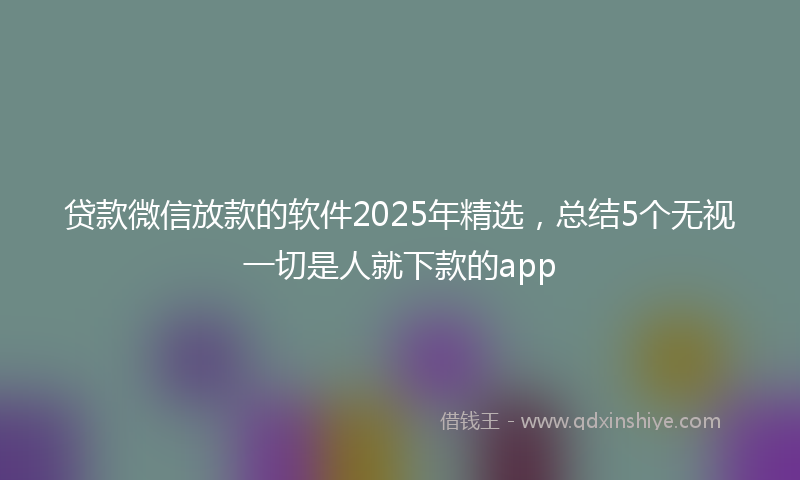 贷款微信放款的软件2025年精选，总结5个无视一切是人就下款的app