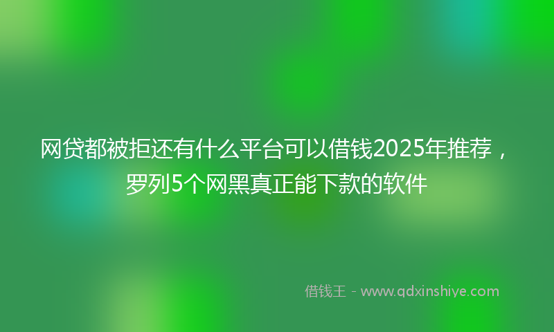 网贷都被拒还有什么平台可以借钱2025年推荐，罗列5个网黑真正能下款的软件