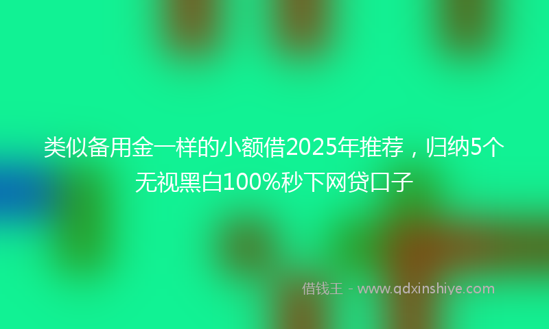 类似备用金一样的小额借2025年推荐，归纳5个无视黑白100%秒下网贷口子