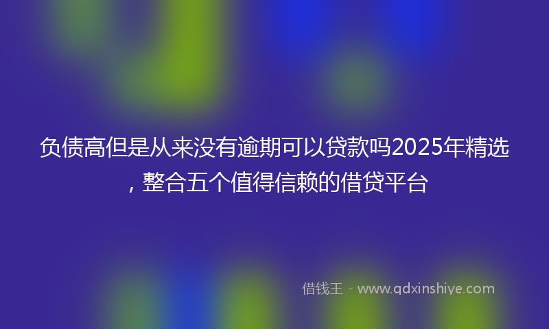负债高但是从来没有逾期可以贷款吗2025年精选，整合五个值得信赖的借贷平台