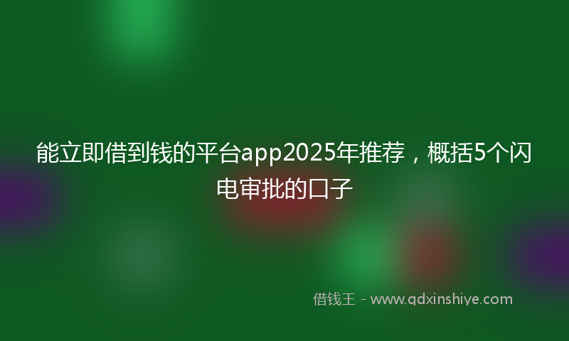 能立即借到钱的平台app2025年推荐，概括5个闪电审批的口子