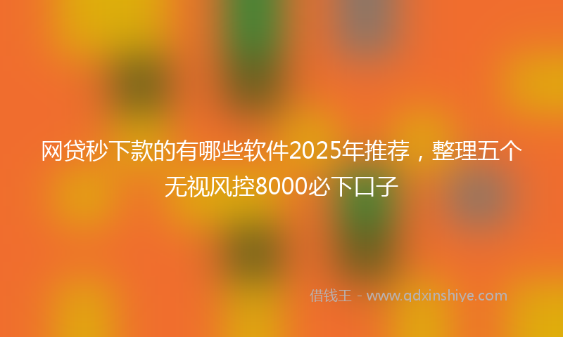网贷秒下款的有哪些软件2025年推荐，整理五个无视风控8000必下口子