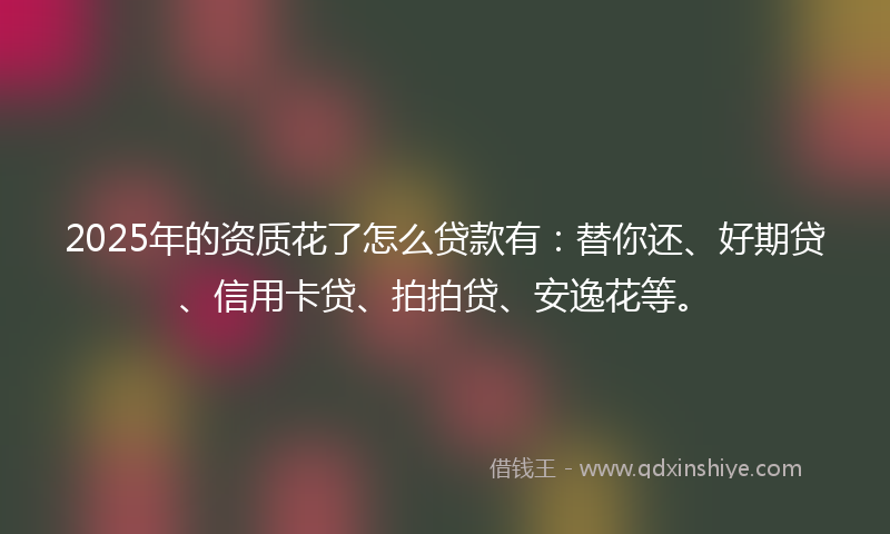 2025年的资质花了怎么贷款有：替你还、好期贷、信用卡贷、拍拍贷、安逸花等。