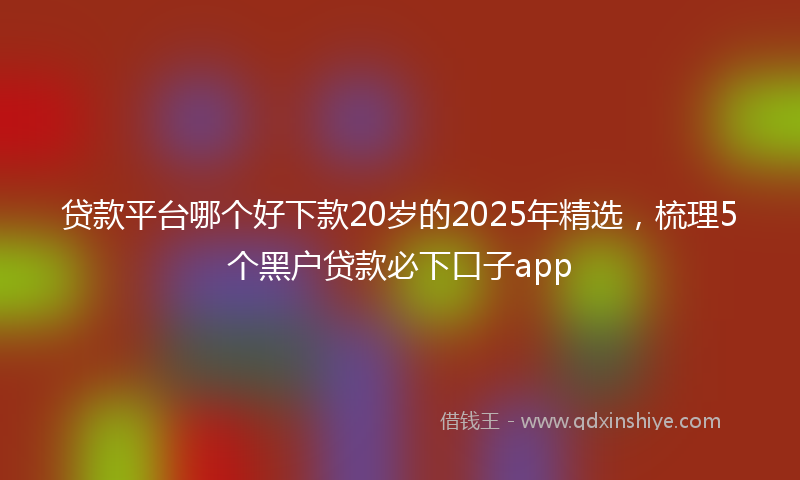 贷款平台哪个好下款20岁的2025年精选，梳理5个黑户贷款必下口子app