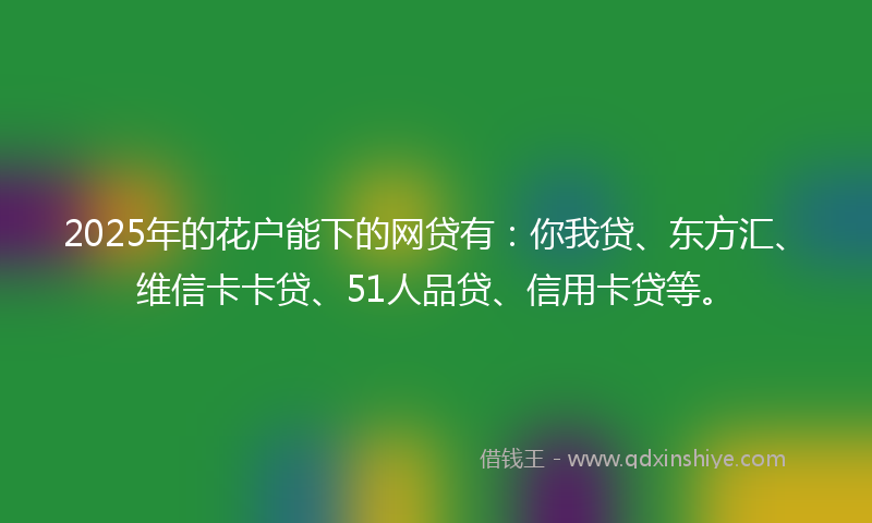 2025年的花户能下的网贷有：你我贷、东方汇、维信卡卡贷、51人品贷、信用卡贷等。