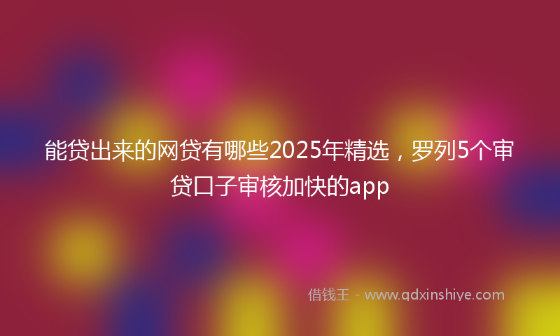 能贷出来的网贷有哪些2025年精选，罗列5个审贷口子审核加快的app