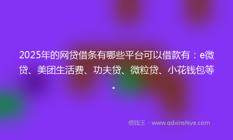 2025年的网贷借条有哪些平台可以借款有：e微贷、美团生活费、功夫贷、微粒贷、小花钱包等。