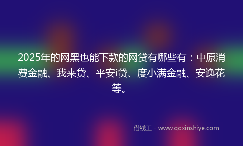 2025年的网黑也能下款的网贷有哪些有：中原消费金融、我来贷、平安i贷、度小满金融、安逸花等。