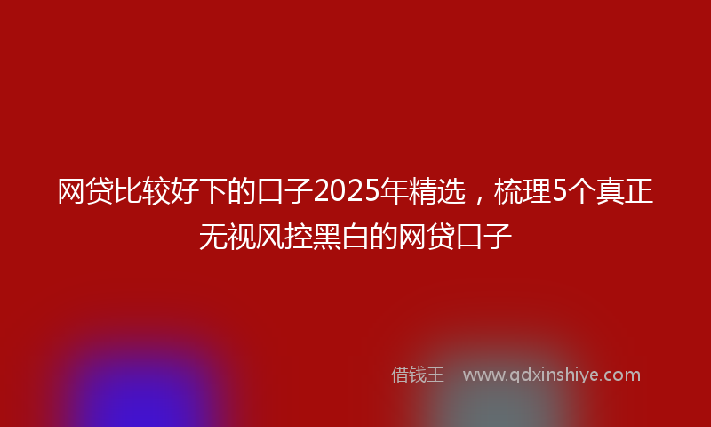 网贷比较好下的口子2025年精选，梳理5个真正无视风控黑白的网贷口子