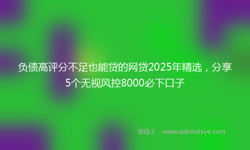 负债高评分不足也能贷的网贷2025年精选，分享5个无视风控8000必下口子