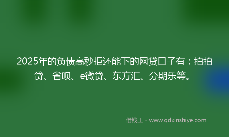 2025年的负债高秒拒还能下的网贷口子有：拍拍贷、省呗、e微贷、东方汇、分期乐等。