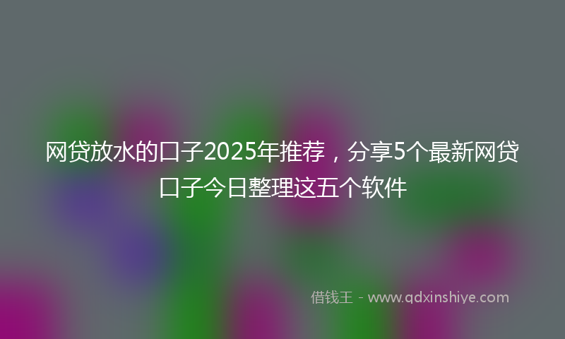 网贷放水的口子2025年推荐，分享5个最新网贷口子今日整理这五个软件