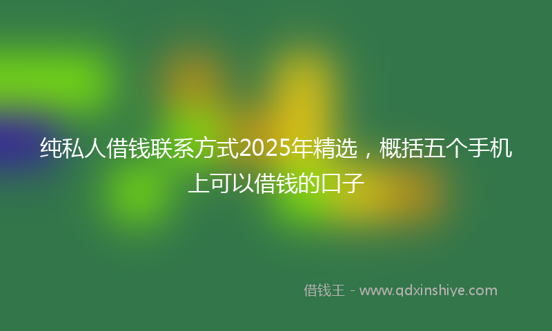 纯私人借钱联系方式2025年精选，概括五个手机上可以借钱的口子