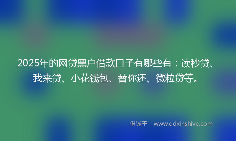 2025年的网贷黑户借款口子有哪些有：读秒贷、我来贷、小花钱包、替你还、微粒贷等。