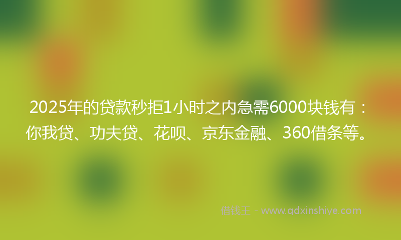 2025年的贷款秒拒1小时之内急需6000块钱有：你我贷、功夫贷、花呗、京东金融、360借条等。