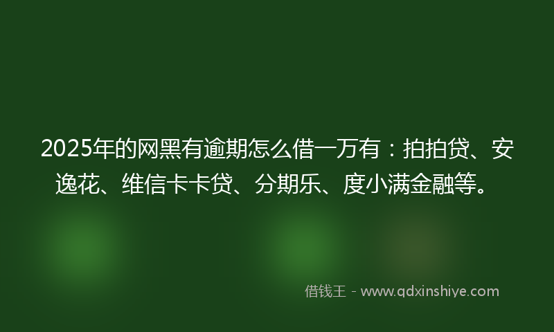 2025年的网黑有逾期怎么借一万有：拍拍贷、安逸花、维信卡卡贷、分期乐、度小满金融等。