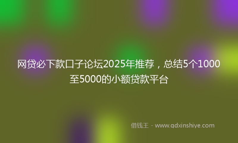 网贷必下款口子论坛2025年推荐，总结5个1000至5000的小额贷款平台