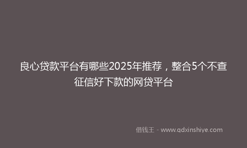 良心贷款平台有哪些2025年推荐，整合5个不查征信好下款的网贷平台