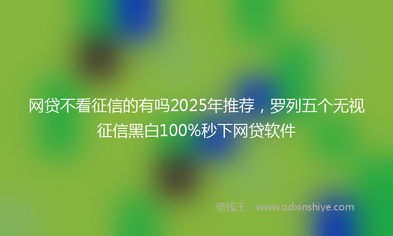 网贷不看征信的有吗2025年推荐，罗列五个无视征信黑白100%秒下网贷软件