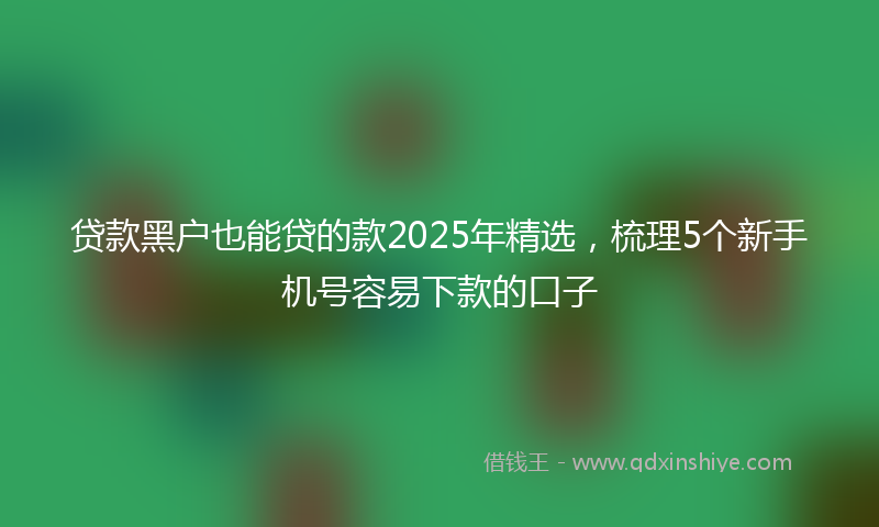 贷款黑户也能贷的款2025年精选，梳理5个新手机号容易下款的口子