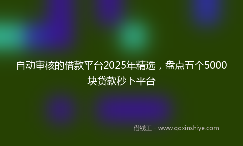 自动审核的借款平台2025年精选，盘点五个5000块贷款秒下平台