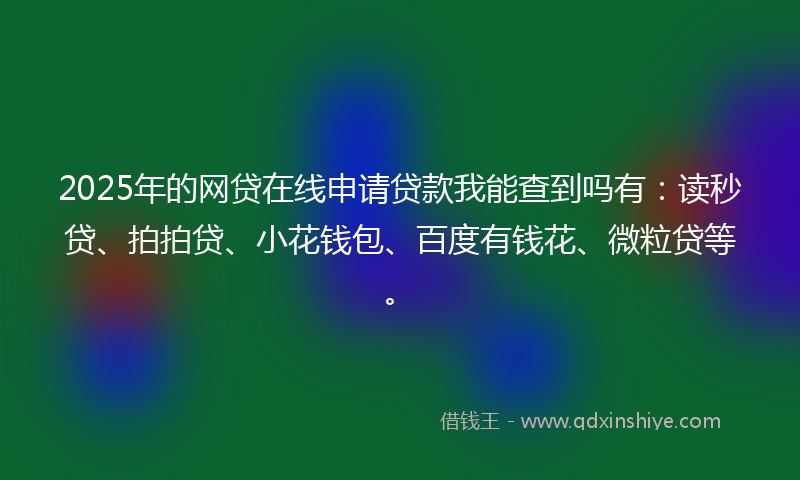 2025年的网贷在线申请贷款我能查到吗有：读秒贷、拍拍贷、小花钱包、百度有钱花、微粒贷等。