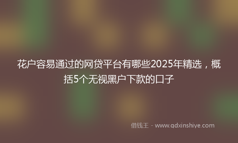 花户容易通过的网贷平台有哪些2025年精选，概括5个无视黑户下款的口子